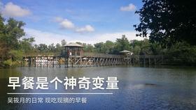 腐草化萤