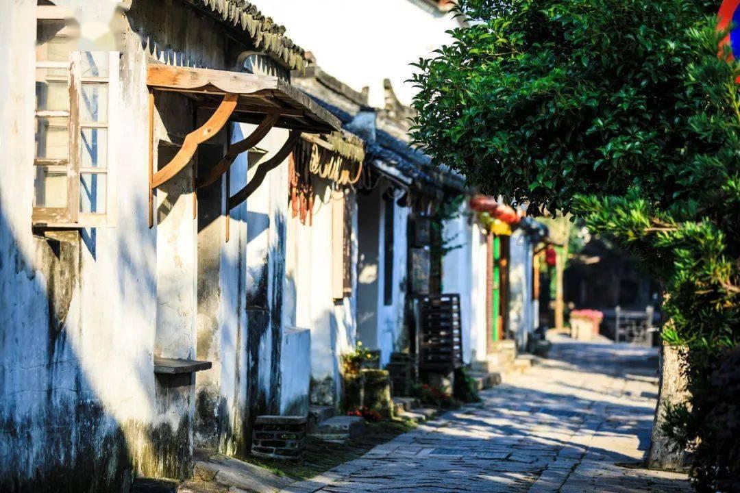 逗小猴开心系列193